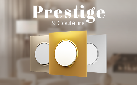 Prestige style