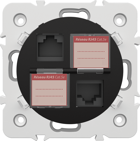 DOUBLE PRISE RJ 45 CAT.5e + OBTURATEURS